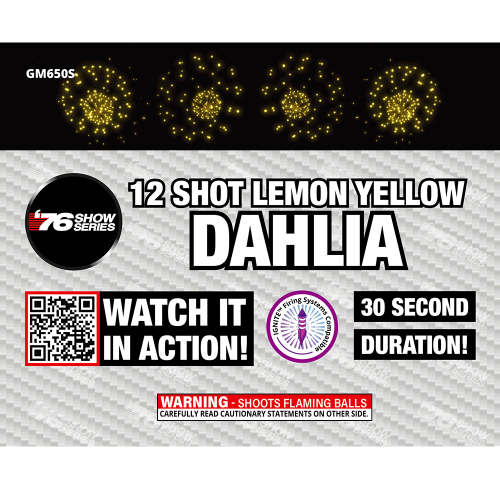 12s R/B/G/Y Dahlia Asst (30 sec) (Show) (Case)