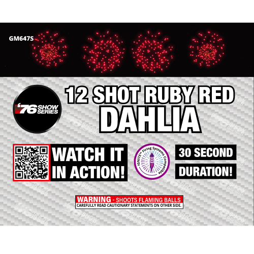 12s R/B/G/Y Dahlia Asst (30 sec) (Show) (Case)