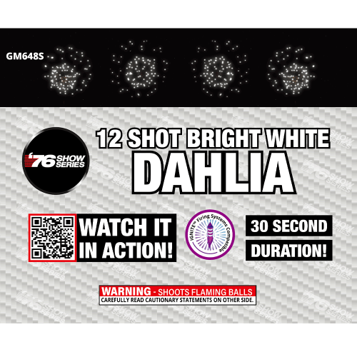 12s R/W/B Dahlia Asst (30 sec) (Show) (Case)