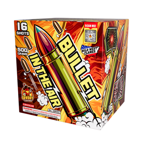 Bullet in the Air (Case)