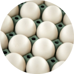 Eggs