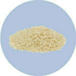 Pasta, Seeds & Quinoa