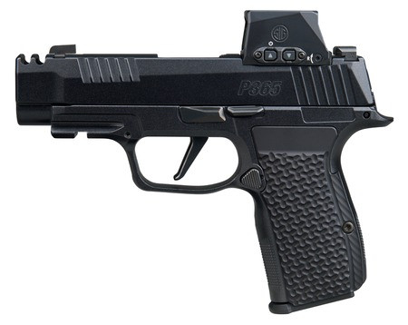 Sig Sauer P365 AXG Luxe, 380 ACP, 12+1 Capacity, Striker Fired