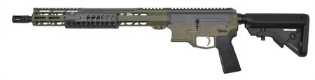 Bond Arms A2FCS4920R1, BA15FC, .300BO, 16, 20R, SNPGRN/GRY