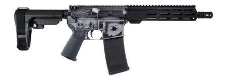 Shark Coast Tactical SCC07435MILGY-P, Military Grey AR