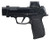 Sig Sauer P365 AXG Luxe, 380 ACP, 12+1 Capacity, Striker Fired