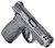 Smith & Wesson PC Bodyguard, 380 ACP, 10+1, 3.10", 2.0 Carry Comp