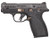 Smith & Wesson 14660 BODYGUARD 2.0, RGPVD Finish