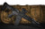 Shark Coast SCC04038MNB-P, 556, 10.5, 30+1, BLK