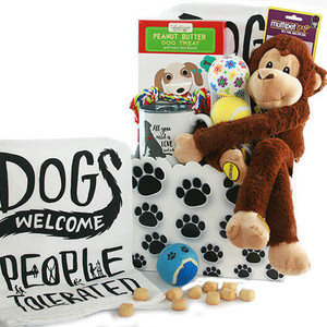 It's a Dogs' Life: Pet Dog Gift Basket Z954-DY-DOGSLIFE