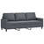  2 Piece Sofa Set with Cushions Dark Gray Velvet A949-3201517
