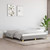  Bed Frame without Mattress Light Gray 59.8"x79.9" Queen Fabric A949-346859