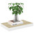  Floating Wall Shelves 4 pcs Oak and White 19.7"x9.1"x1.5" MDF A949-326575