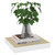  Floating Wall Shelves 2 pcs Oak and White 9.1"x9.3"x1.5" MDF A949-326568