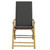 Folding Patio Reclining Chairs 2 pcs with Cushions Bamboo A949-365876