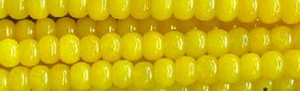 6mm Yellow Chalcedony Rondelle Beads 15.5" [v0544]