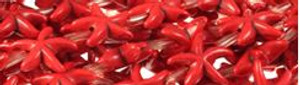 15mm Red Magnesite Star Fish Beads t451r 15.5" [v2098z]