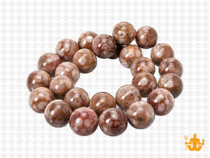 10mm Fossil Agate Round Beads 15.5" natural [10r68]