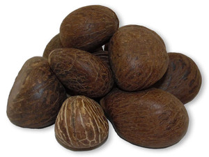 1.5~2.5" Natural Aged Honey Tagua Nut Dried Uncut 5pc [yc56]