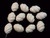 20x28mm Natural Buffalo Bone Rope Beads 1ps. A Grade [zb227]