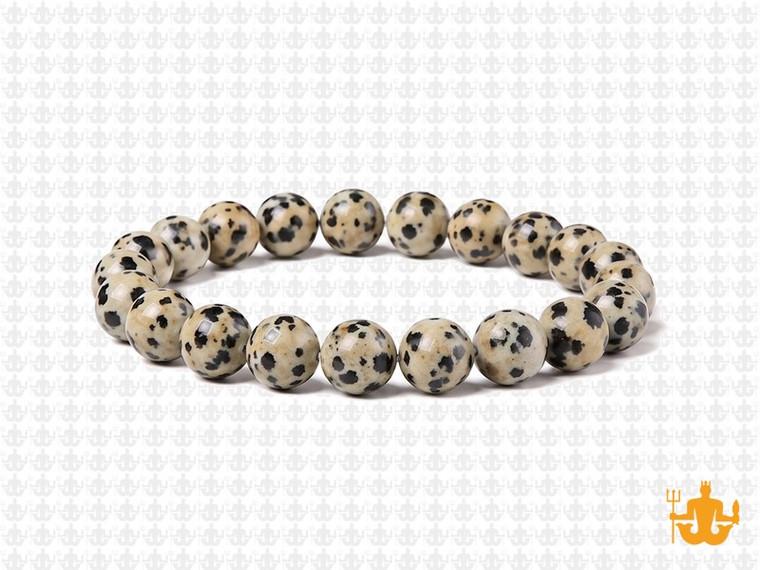 8mm Matte Dalmatian Jasper Elastic Bracelet 7.5" natural [b3b23m]