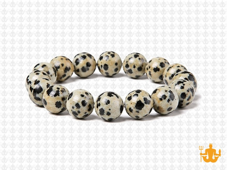 10mm Dalmatian Jasper Elastic Bracelet 7.5" natural [b4b23]