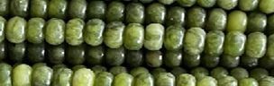 6mm Nephrite Rondelle Beads 15.5" [v0513]