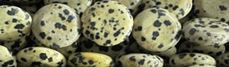15mm Dalmatian Jasper Puff Coin Beads 15.5" [v0711]