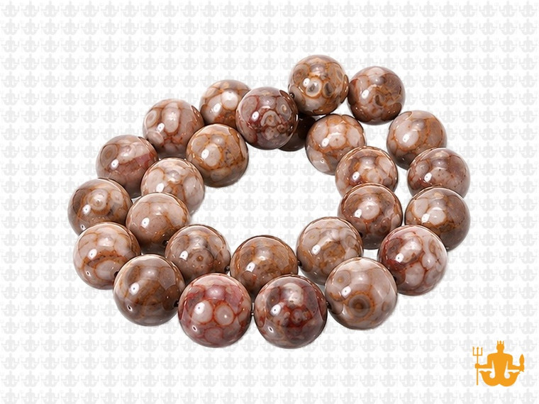 10mm Fossil Agate Round Beads 15.5" natural [10r68]