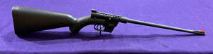 Henry U.S. Survival AR-7 .22LR Takedown