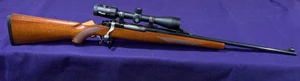 Ruger M77 Mark II .270 with Sig Sauer Scope