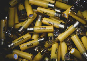 The price and payout of TSS - Is it really worth the price? The price and payout of TSS - Is it really worth the price?