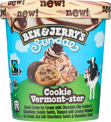 B&J COOKIE VERMON-STER SUNDAE 427ML 