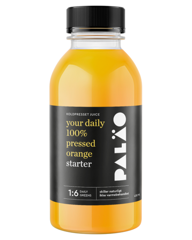 PALÆO APPELSINJUICE 40 CL 