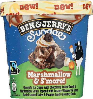 B&J MARSHMALLOW & S'MORE! 427ML 