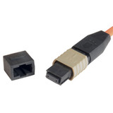 MPO w/o pins to MPO w/o pins, 6 Fiber Ribbon, 9/125 Singlemode, OFNR Jacket, Yellow, 25.0m