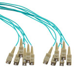6 Strand SC/UPC-SC/UPC OM3 Multimode Distribution Cable, 5.0mm PVC Jacket, 2.0mm breakout at 0.5M - 5 meters