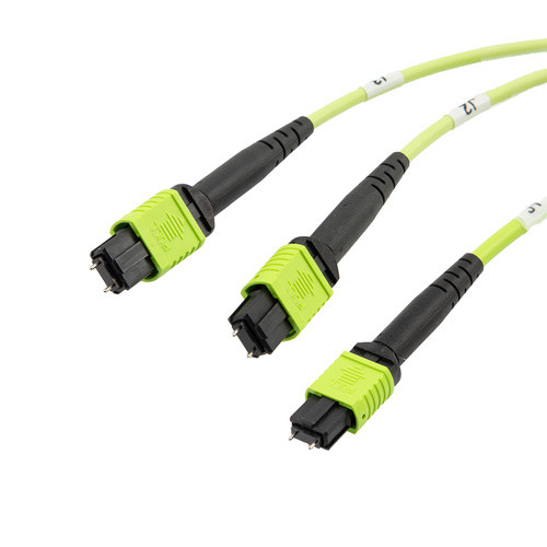 Fiber Aggregation Conversion Harness, MPO24 w/ pins to 2xMPO12 w/ pins, OM5 50/125um Multimode, OFNR Jacket, Lime Green, 5 meter