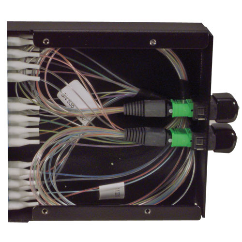 Cassette with (2) MPO-12 Male & 24 LC Ports OM3, (50/125 10G MMF)