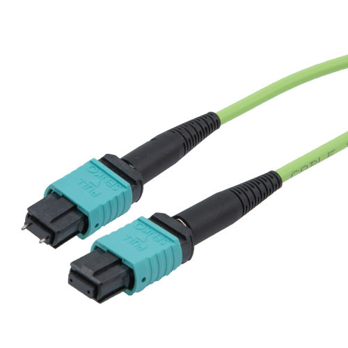 MPO w/ pins to MPO no pins, 12 Fiber, Type B, 100GB 50/125 OM5 MMF, OFNP Jacket, 5 Meter