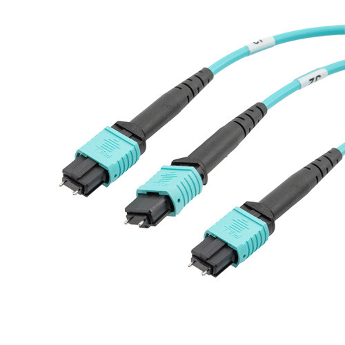 Fiber Aggregation Conversion Harness, MPO24 w/ pins to 2xMPO12 w/ pins, OM4 50/125um Multimode, OFNR Jacket, Aqua, 1 meter