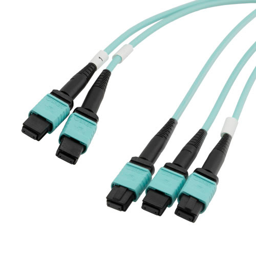 3xMPO8 no pins to 2xMPO12 no pins, OM3 50/125um Multimode, LSZH Jacket, Aqua, 1 meter