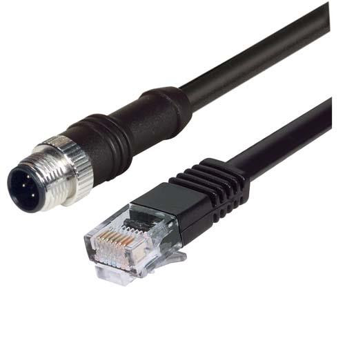 M12 4 Position D-Coded Male/RJ45 Male Cable Assembly, 0.5m