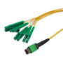 Type A MPO w/o pins to LC/APC fan-out, 2.0mm Diameter, 8 Fiber, Single Mode OS2 9/125, OFNP Jacket, 1 Meter