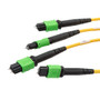 Fiber Conversion Harness, MPO24 w/ pins to 3xMPO8 w/ pins, SMF 9/125um, OFNR Jacket, Yellow, 5 meter