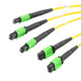 Fiber Conversion Harness, 3xMPO8 no pins to 2xMPO12 no pins, SMF 9/125um, LSZH Jacket, Yellow, 3 meter