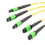 Fiber Aggregation Conversion Harness, 3xMPO8 no pins to 2xMPO12 no pins, SMF 9/125um, LSZH Jacket, Yellow, 5 meter