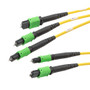 Fiber Conversion Harness, 3xMPO8 w/ pins to 2xMPO12 w/ pins, SMF 9/125um, LSZH Jacket, Yellow, 3 meter
