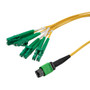 Type A MPO w/o pins to LC/APC fan-out, 2.0mm Diameter, 8 Fiber, Single Mode OS2 9/125, LSZH Jacket, 10 Meter