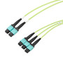 3xMPO8 no pins to 2xMPO12 no pins, OM5 50/125um Multimode, ONFR Jacket, Lime Green, 3 meter